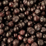 Gefrorene Heidelbeeren IQF
