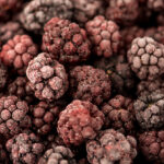 Gefrorene wilde Brombeeren